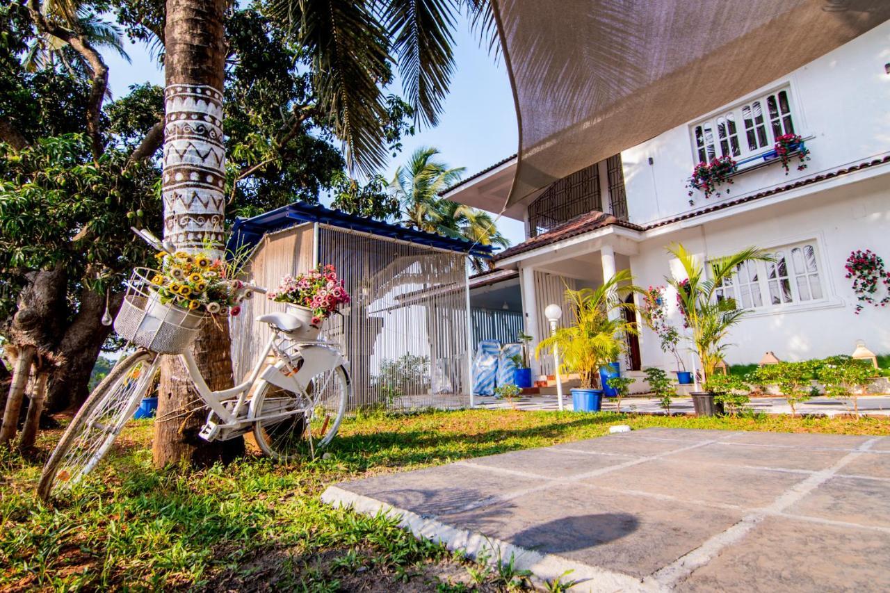 Saligao White House In Goa, Truly Amazing Experience B&B 외부 사진
