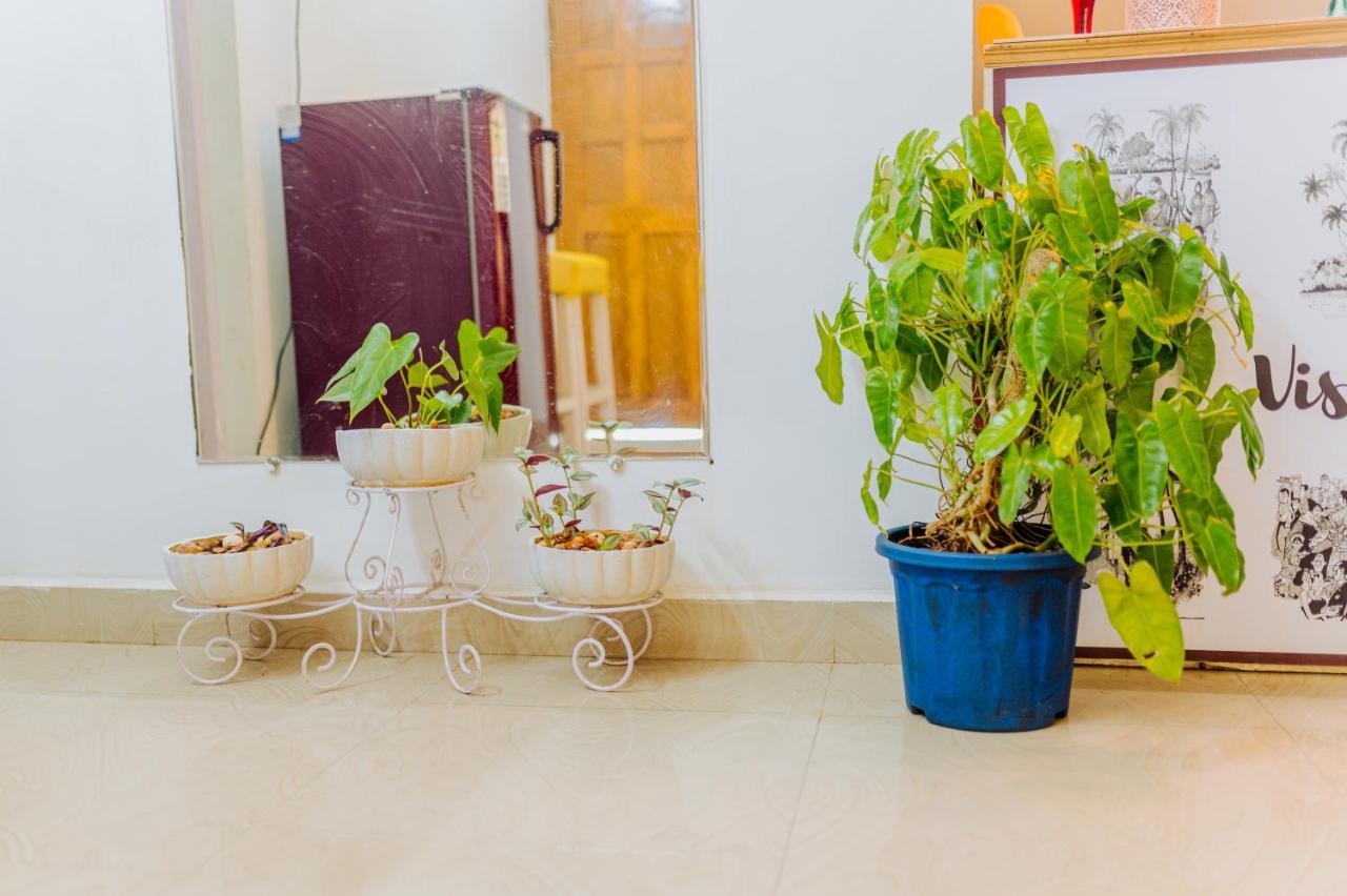 Saligao White House In Goa, Truly Amazing Experience B&B 외부 사진